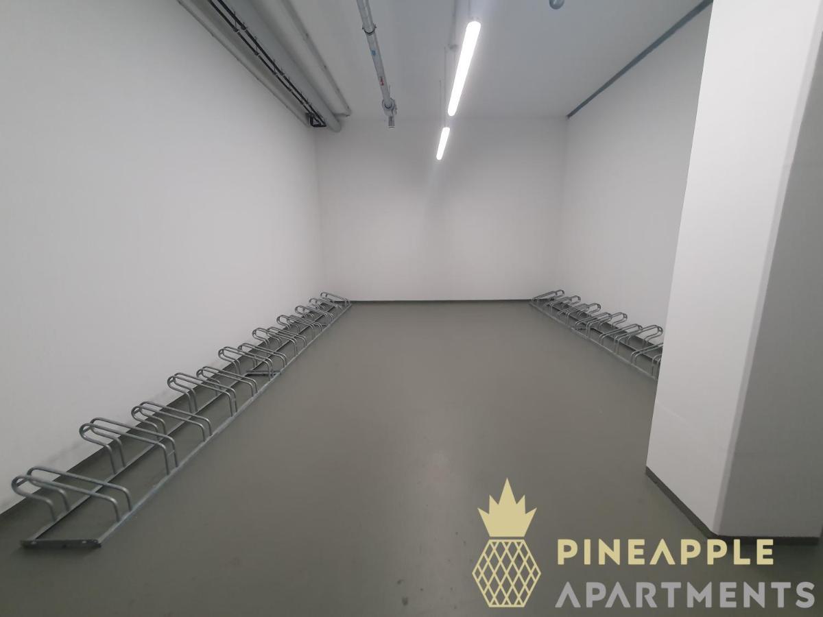 Pineapple Apartments Dresden Altstadt IV - 91 Qm - 1X Free Parking エクステリア 写真
